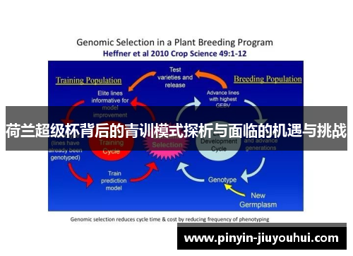荷兰超级杯背后的青训模式探析与面临的机遇与挑战 荷兰超级杯背后的青训模式探析与面临的机遇与挑战